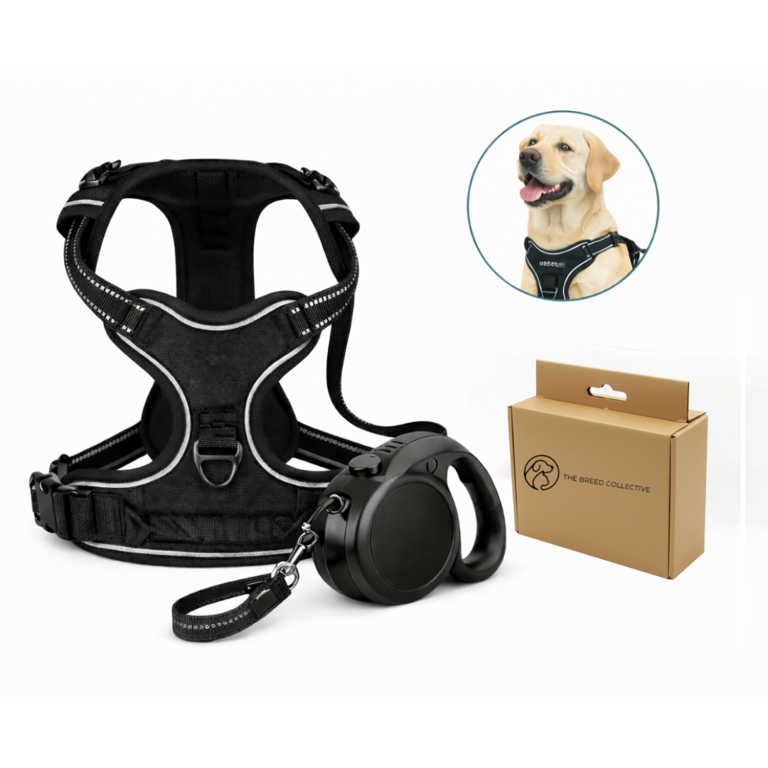 Dog Vest Harness & Retractable Leash Attachment for Labrador