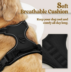 Dog Vest Harness & Retractable Leash Attachment for Labrador