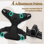 Dog Vest Harness & Retractable Leash Attachment for Labrador