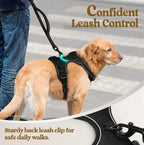 Dog Vest Harness & Retractable Leash Attachment for Labrador